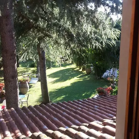 Tacco *