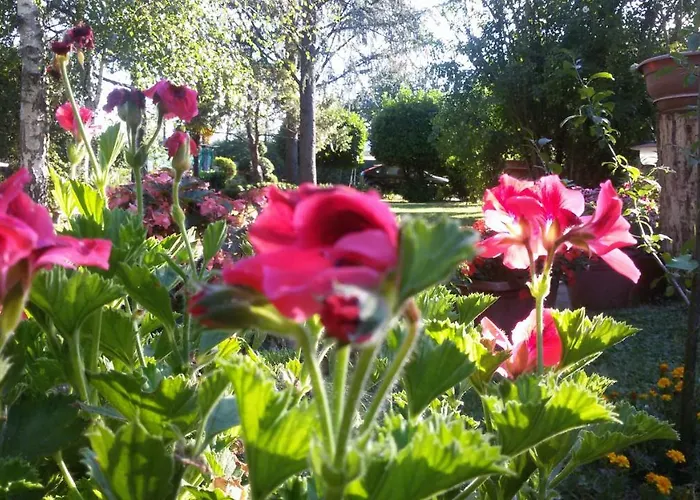 Tacco فندق مبيت وإفطار Quarata